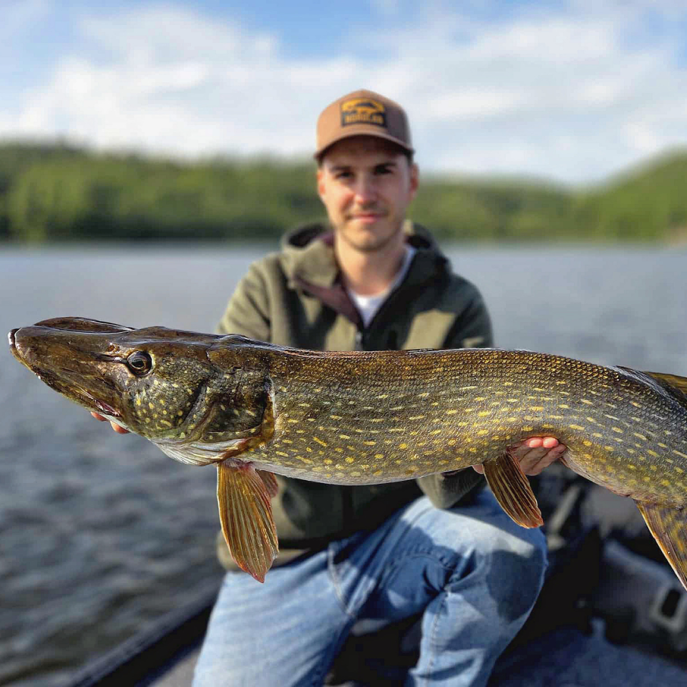 Norolans bästa gäddbeten 5-pack