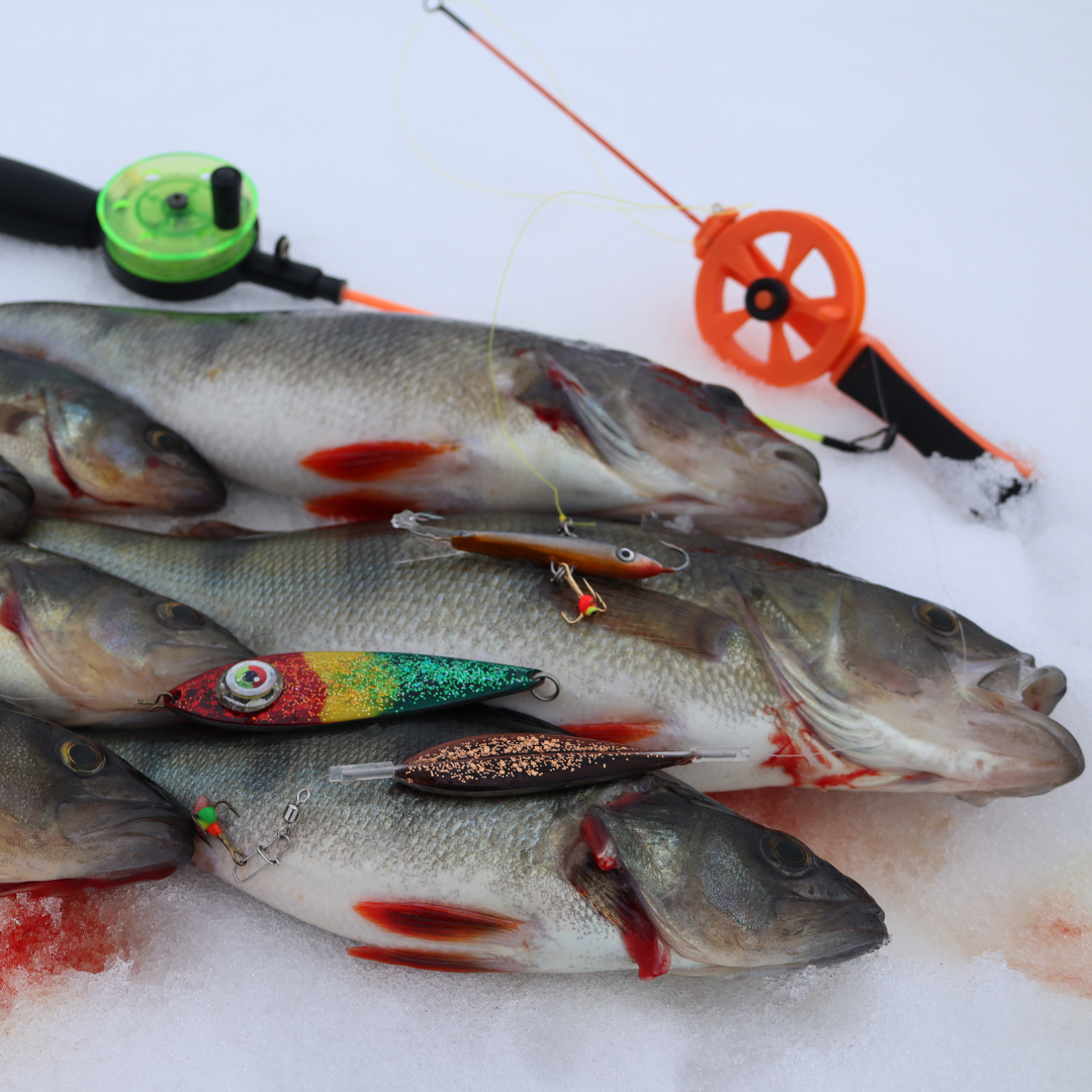 Norolans bästa abborrpirkar – 5-pack