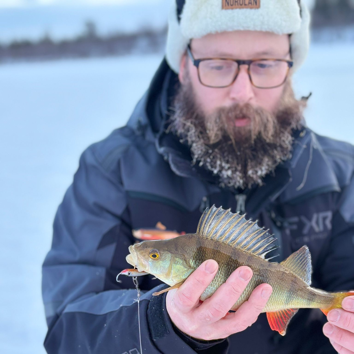 Norolan Balance Banger Balanspirk