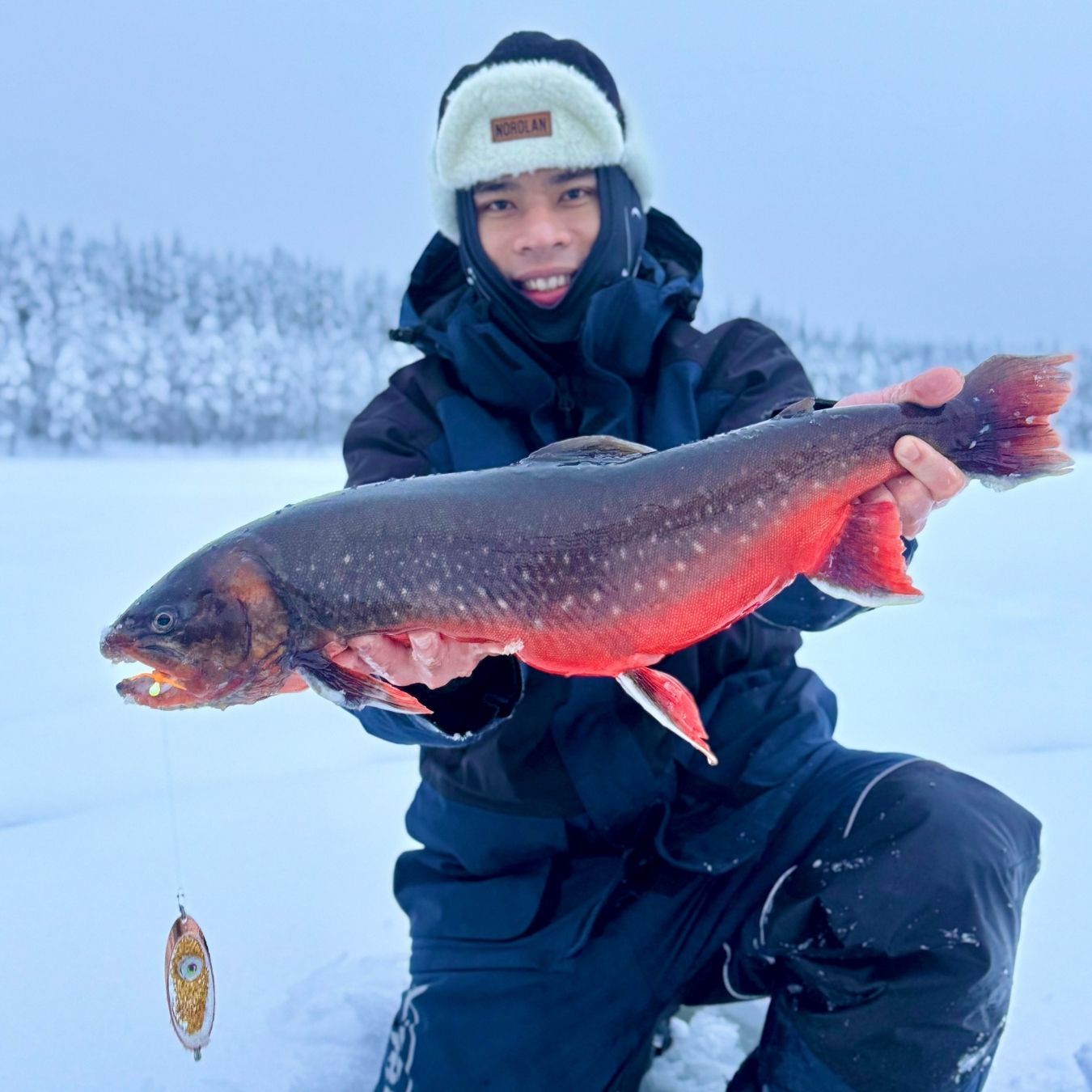 Norolan Arctic Light Original LED 8 cm: blinkpirk med utbytbar Led