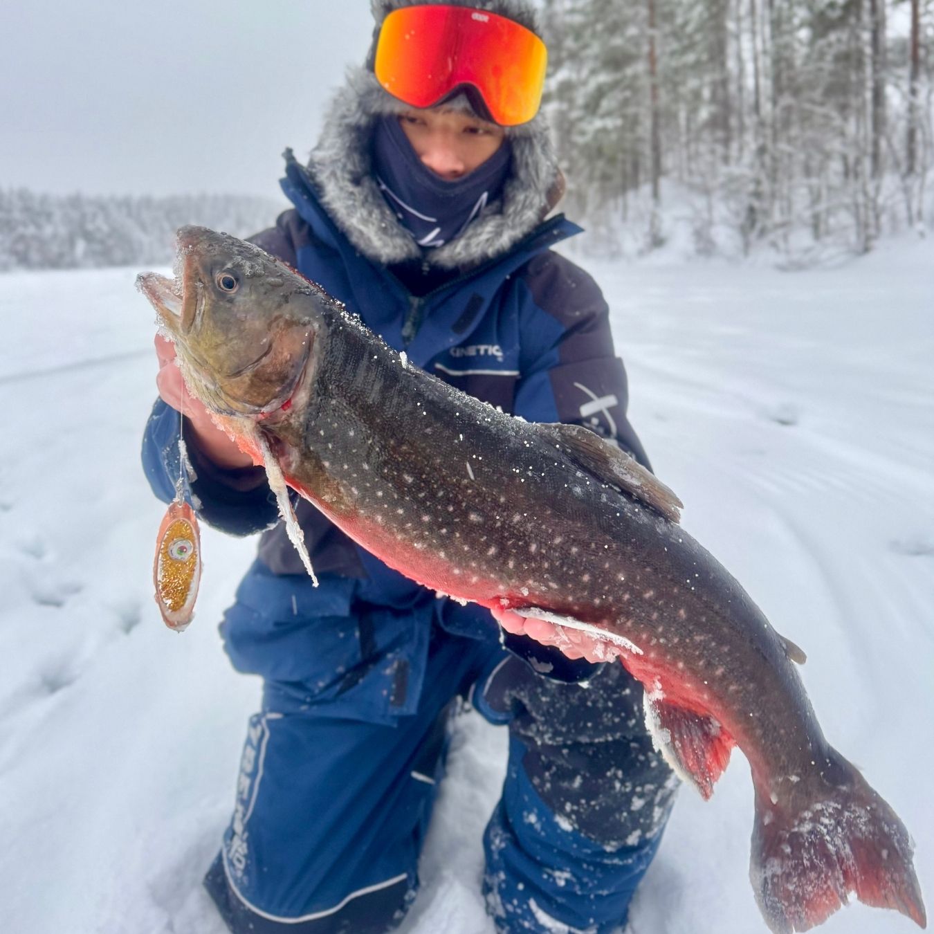 Norolan Arctic Light Original LED 8 cm: blinkpirk med utbytbar Led