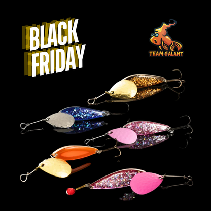 Norolans & Team Galants favoritbeten för regnbåge i 5-pack