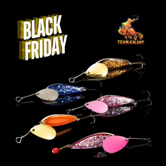 Norolans & Team Galants favoritbeten för regnbåge i 5-pack