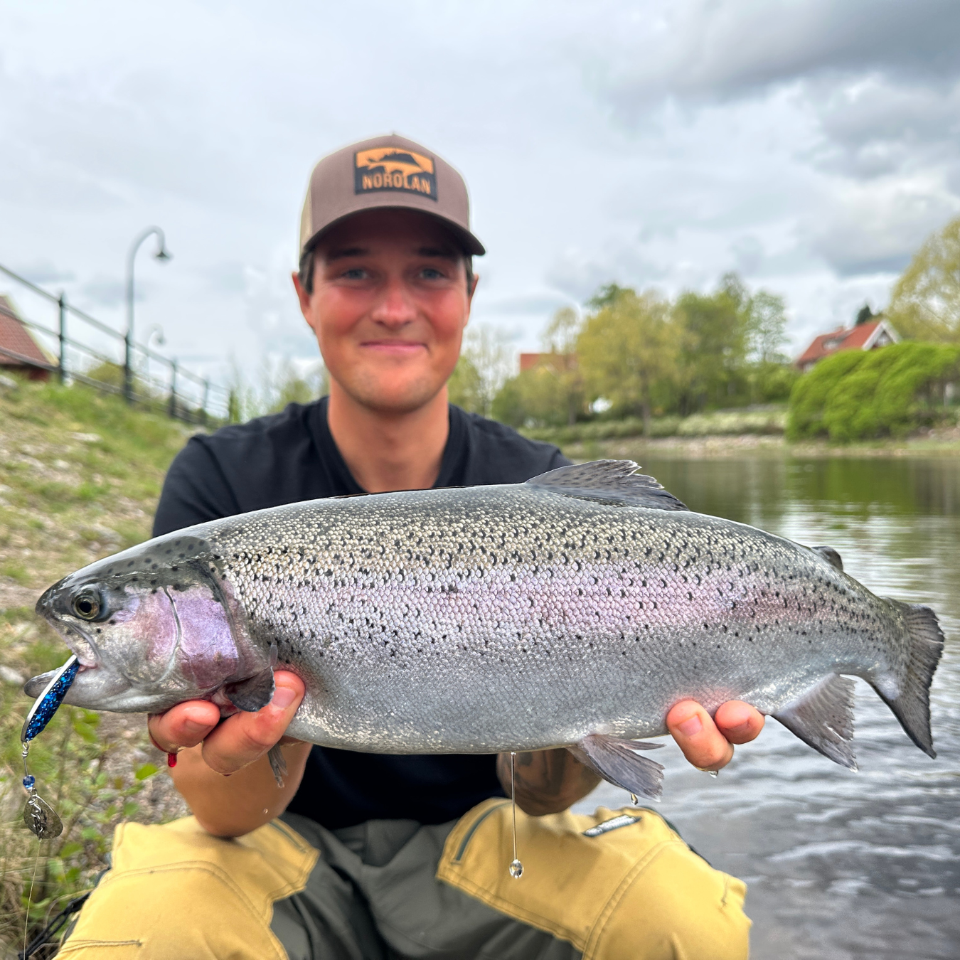 Norolans bästa regnbågslaxdrag 5-pack