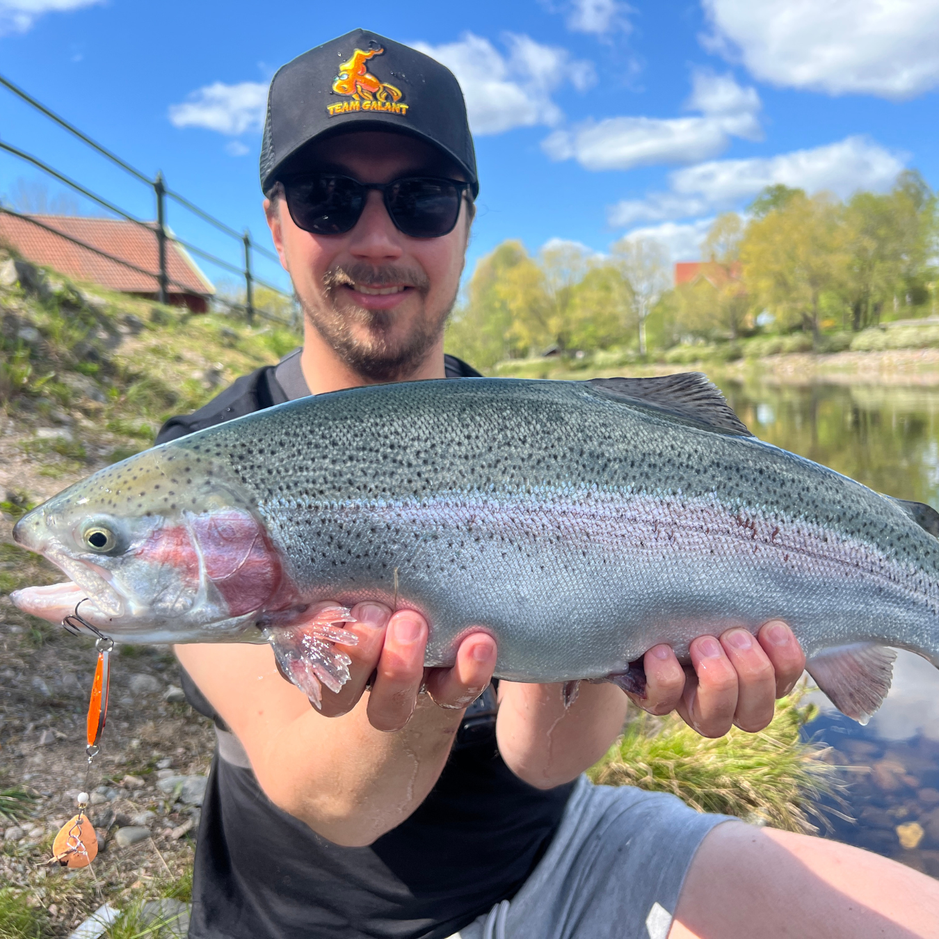 Norolans bästa regnbågslaxdrag 5-pack