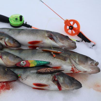 Norolans bästa abborrpirkar – 5-pack