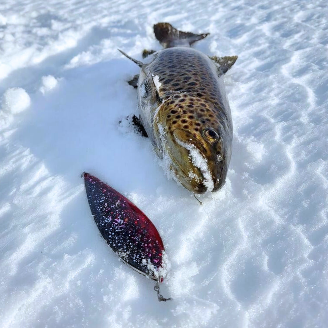 Norolan Winter Light pimpeljigg-set för öring