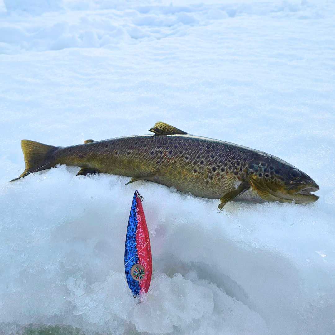 Norolan Winter Light pimpeljigg-set för öring