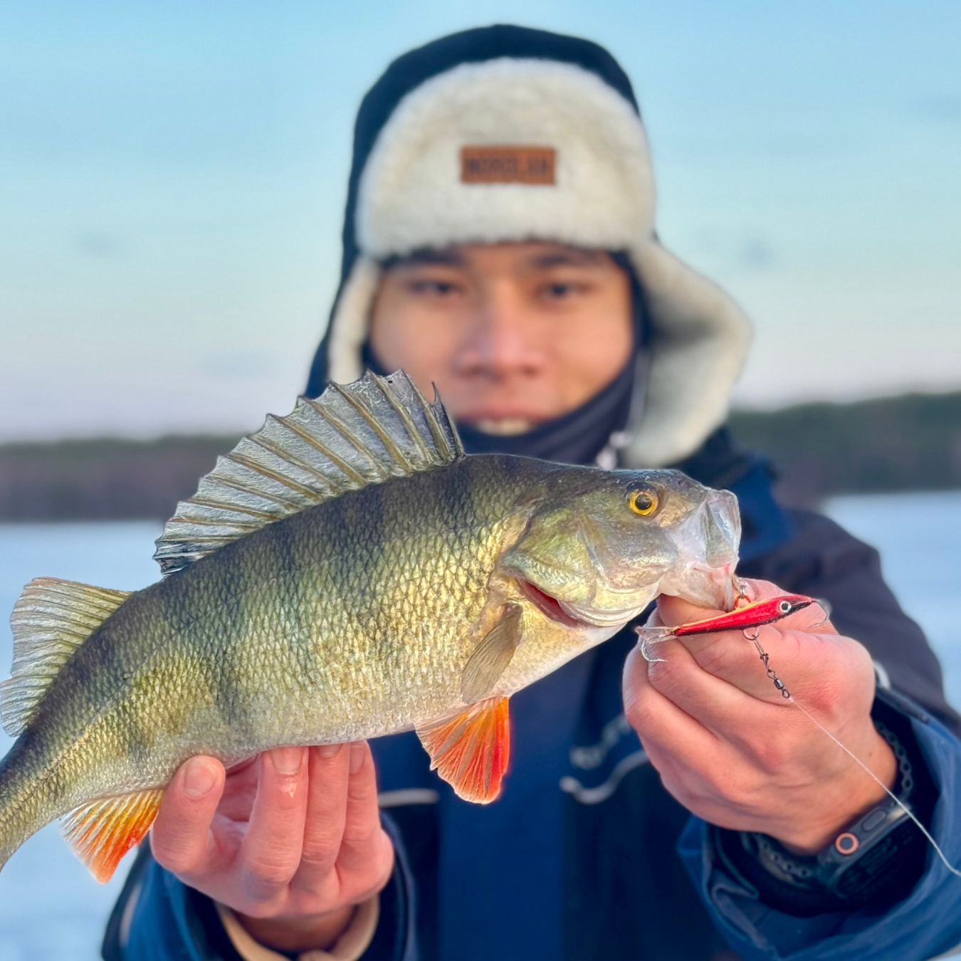 Norolan Balance Banger Balanspirk