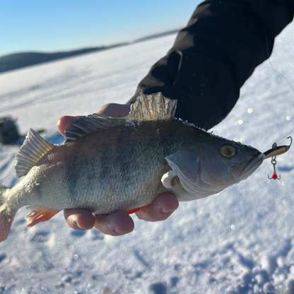 Norolan Balance Banger Balanspirk